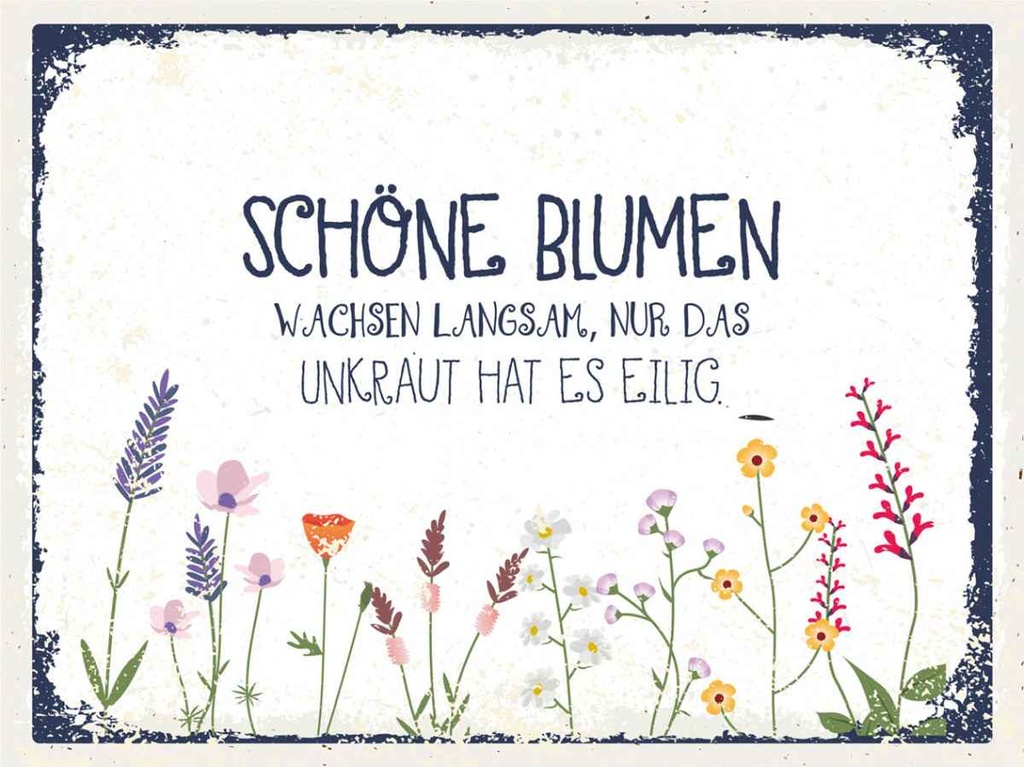 Holzschild 30x40 cm schöne Blumen wachsen langsam Dekoration