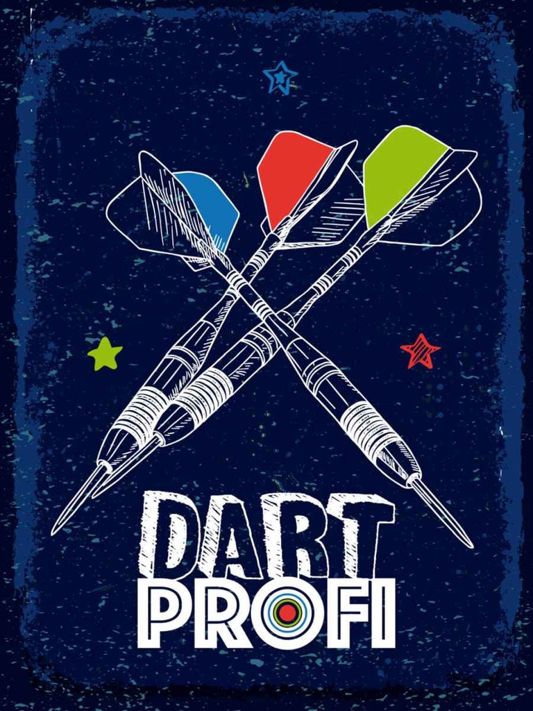 Holzschild 40x30 cm Dart Profi Dartpfeile Sport Hobby