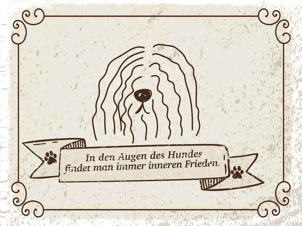 Holzschild 30x40 cm In den Augen des Hundes Frieden Spruch Zitat
