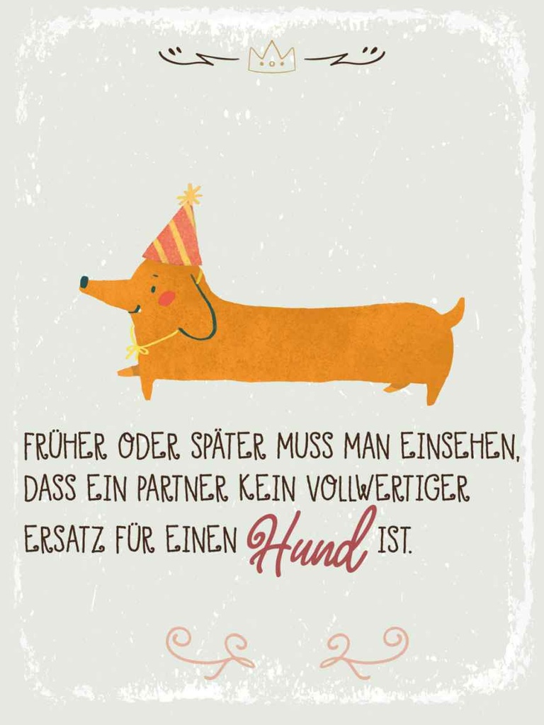 Holzschild 40x30 cm kein Ersatz für einen Hund Tier Haustier