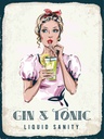 Holzschild 40x30 cm Gin & Tonic Liquid Sanity Essen Trinken