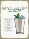Holzschild 40x30 cm Mint Julep Cocktail Recipe Essen Trinken