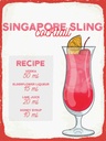 Holzschild 40x30 cm Singapore Sling Cocktail Recipe Abenteuer Reisen