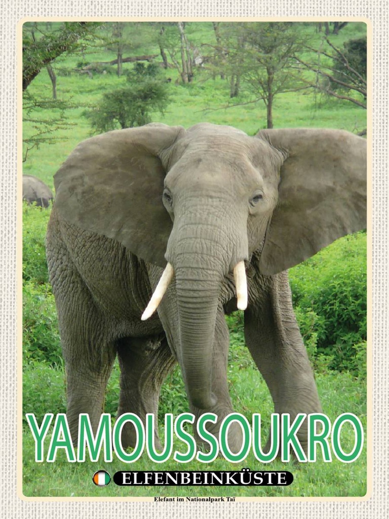 Holzschild 40x30 cm Yamoussoukro Elfenbeinküste Nationalpark Bildmotiv Reisemotiv Abenteuer Reisen