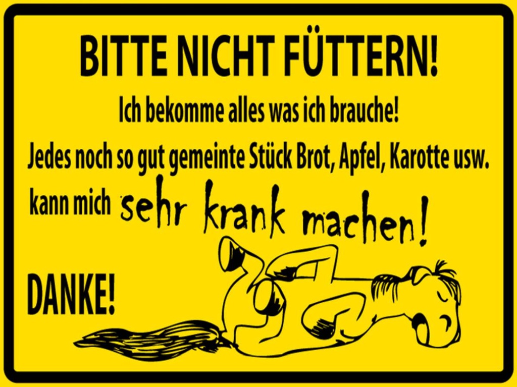 [LA-1789011-H] Holzschild 30x40 cm Bitte Nicht Füttern (Pferd)