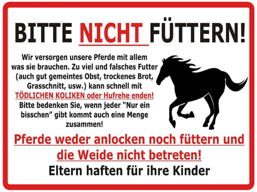 Holzschild 30x40 cm (Pferd) Bitte nicht füttern Warnschild Pferd