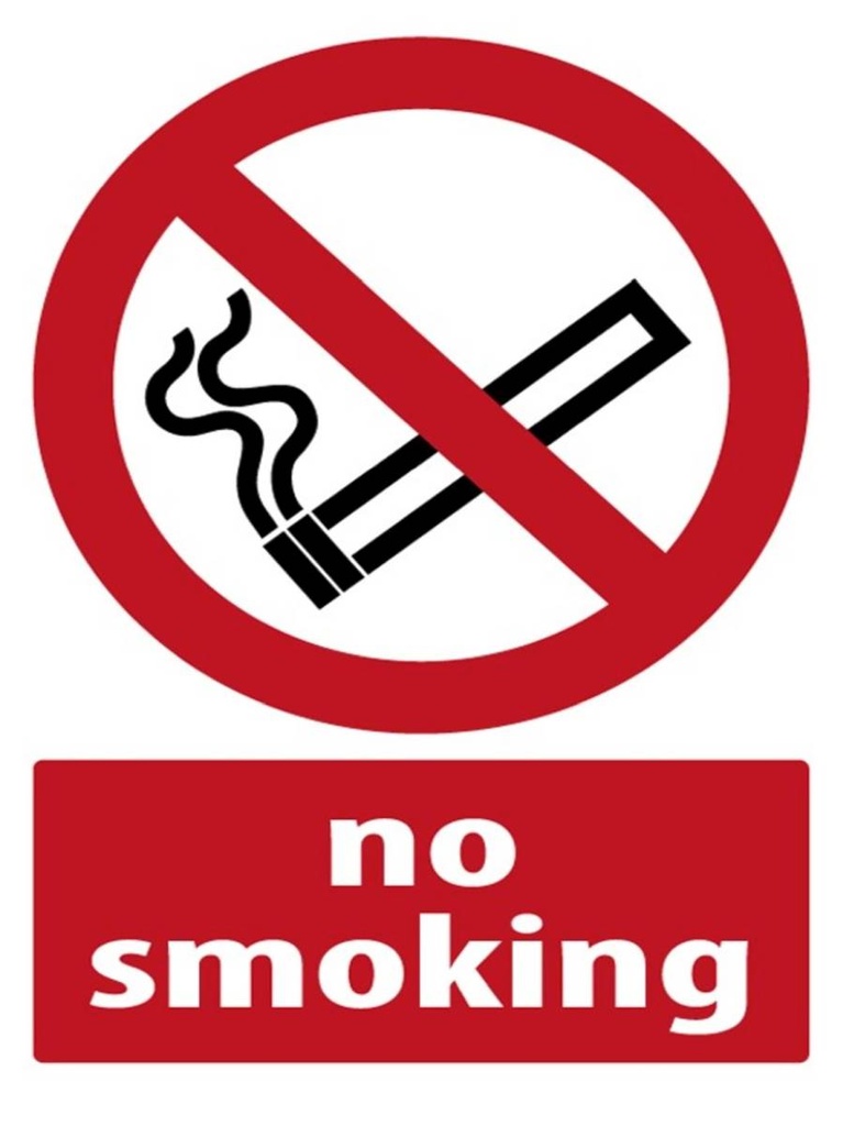 Holzschild 40x30 cm No Smoking