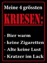 Holzschild 40x30 cm Meine 4 grössten Krisen