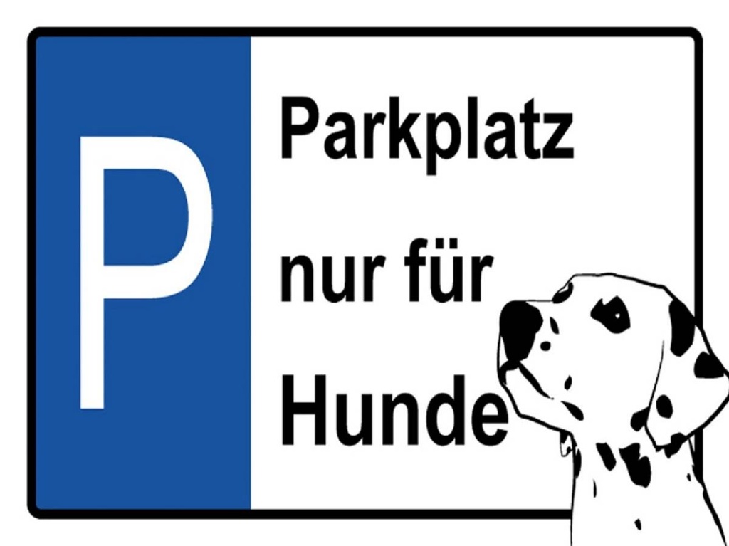 Holzschild 30x40 cm Parkplatz nur für Hunde