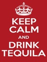 Holzschild 40x30 cm Alkohol Keep calm and Drink Tequila
