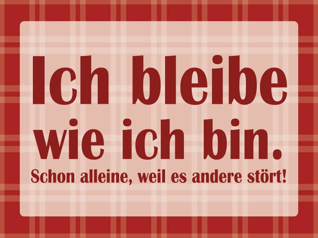 Holzschild 30x40 cm Ich bleibe wie ich bin
