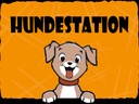 Holzschild 30x40 cm Hundestation (orange)