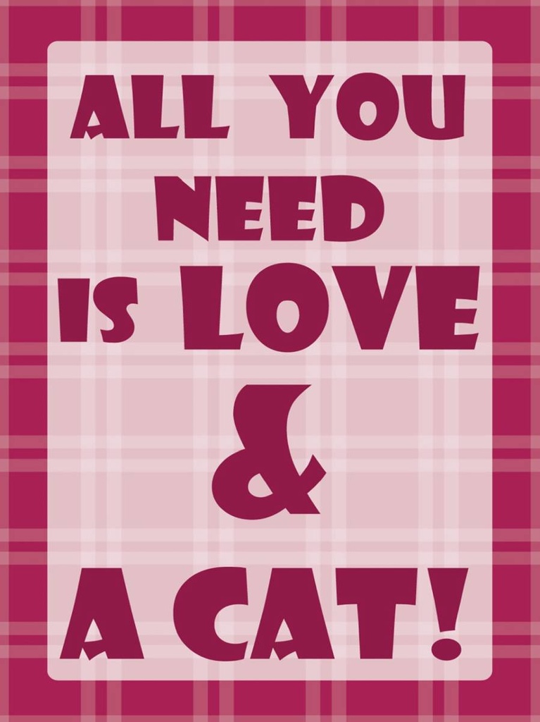 Holzschild 40x30 cm All you need & Cat