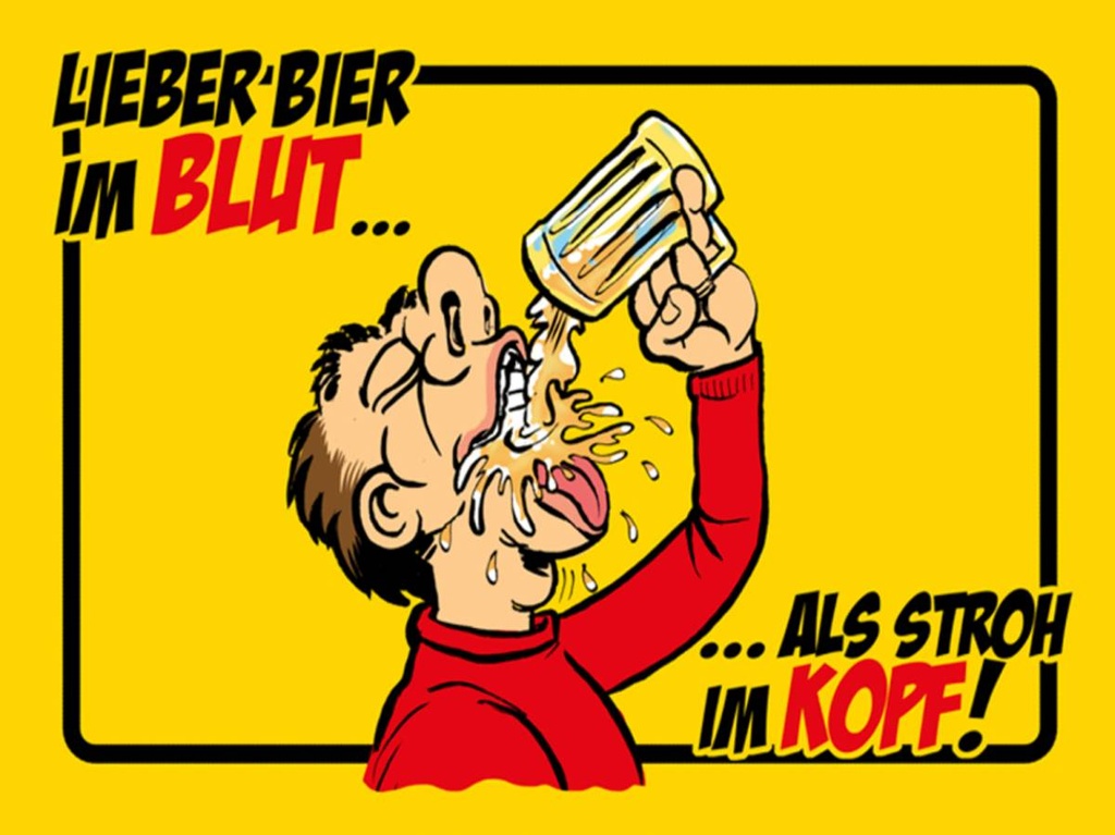 Holzschild 30x40 cm Alkohol Bier im Blut, als Stroh im Kopf