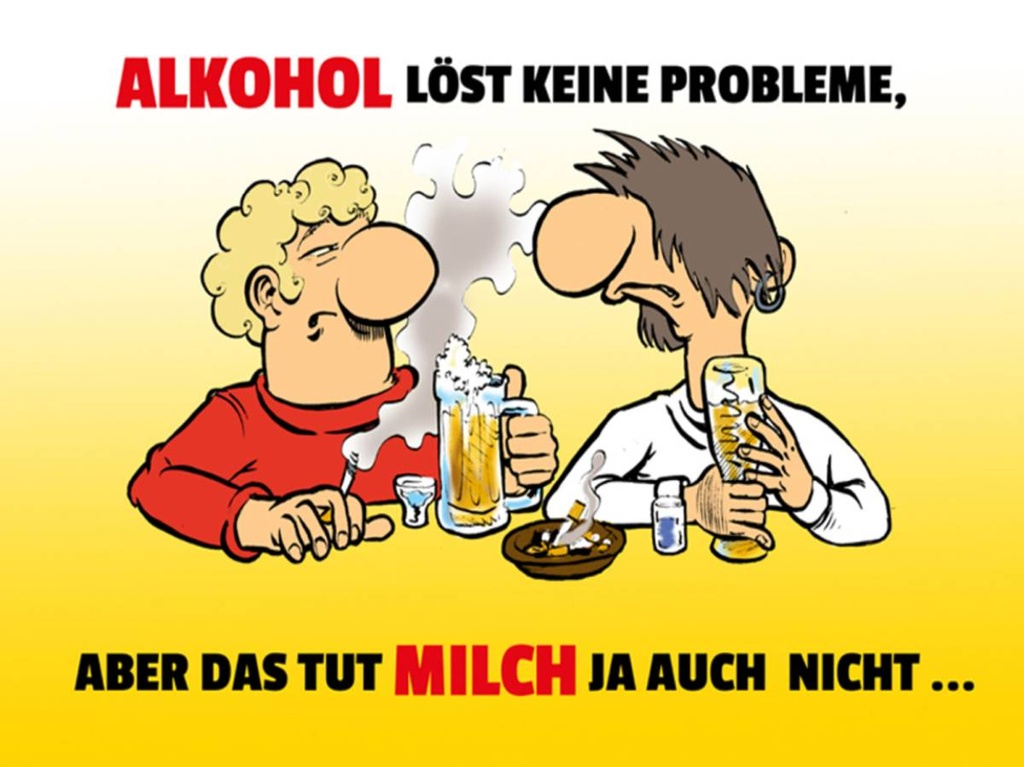 Holzschild 30x40 cm Alkohol löst keine Probleme