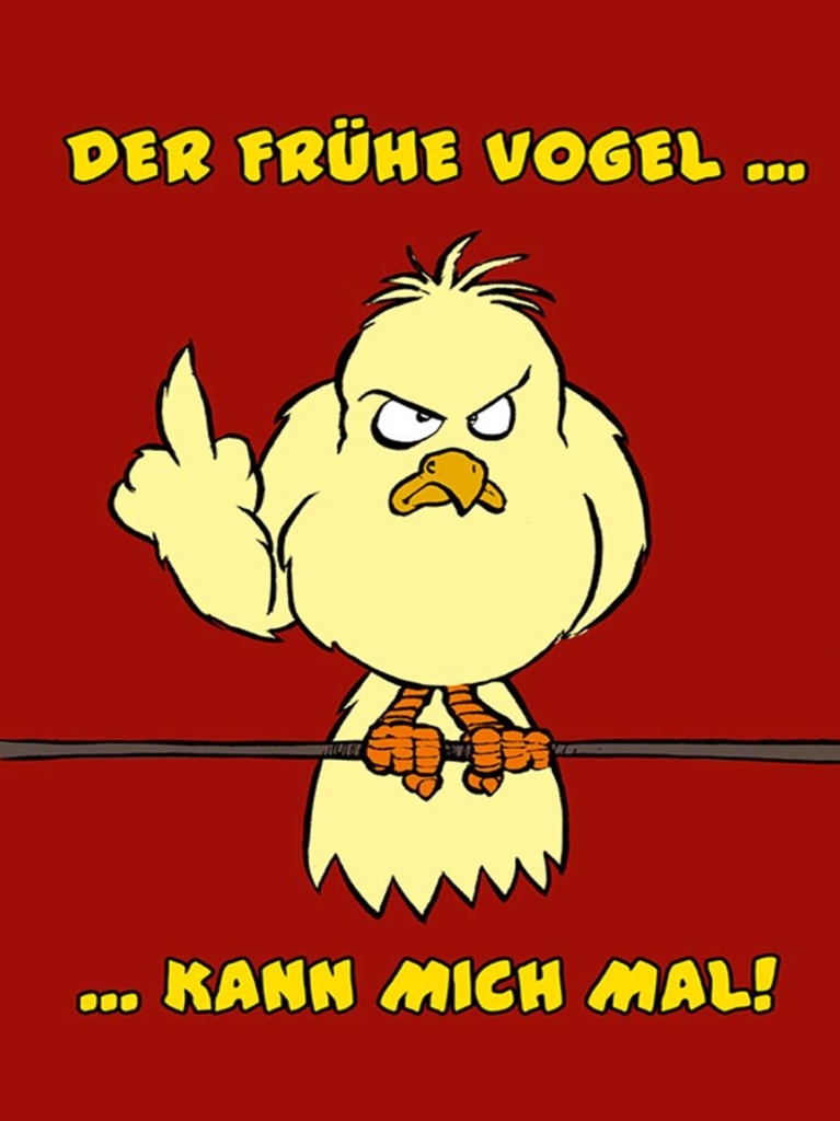 Holzschild 40x30 cm Der frühe Vogel kann mich mal
