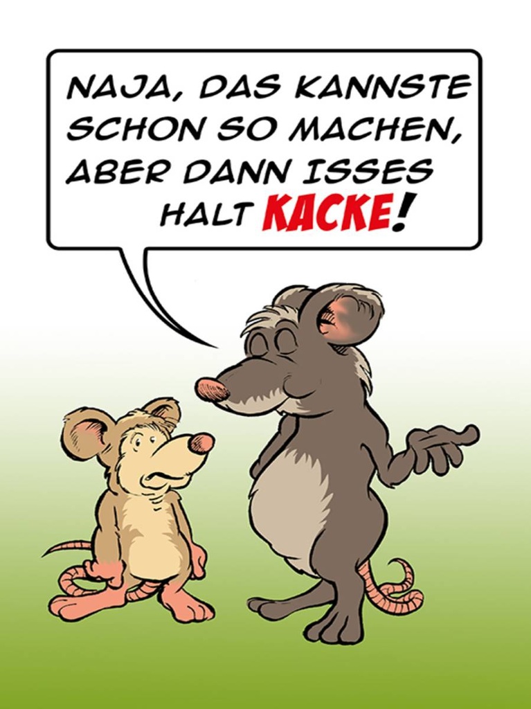 Holzschild 40x30 cm Kannste so machen ist halt Kacke
