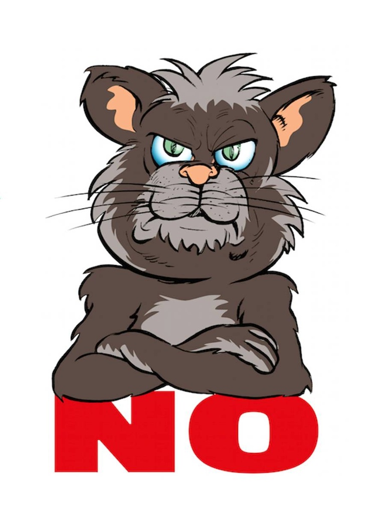 Holzschild 40x30 cm NO (Katze)