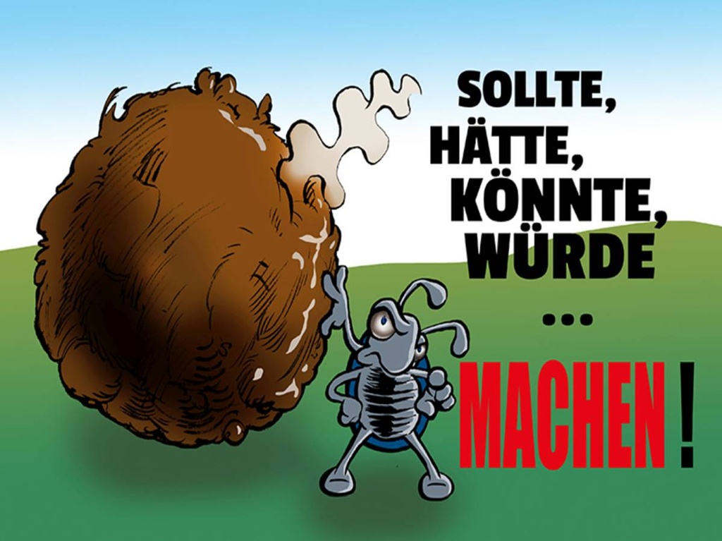 Holzschild 30x40 cm Sollte hätte könnte Machen