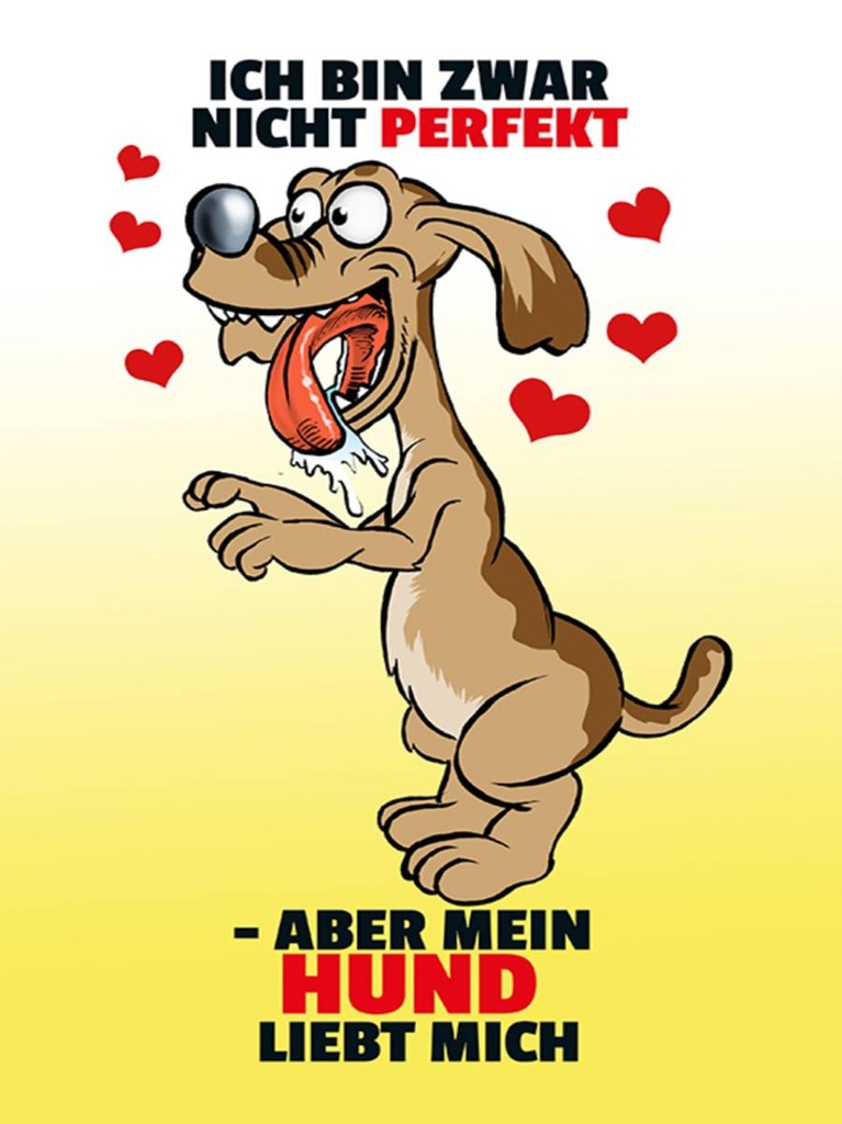 Holzschild 40x30 cm Nicht perfekt aber Hund liebt mich Schiild