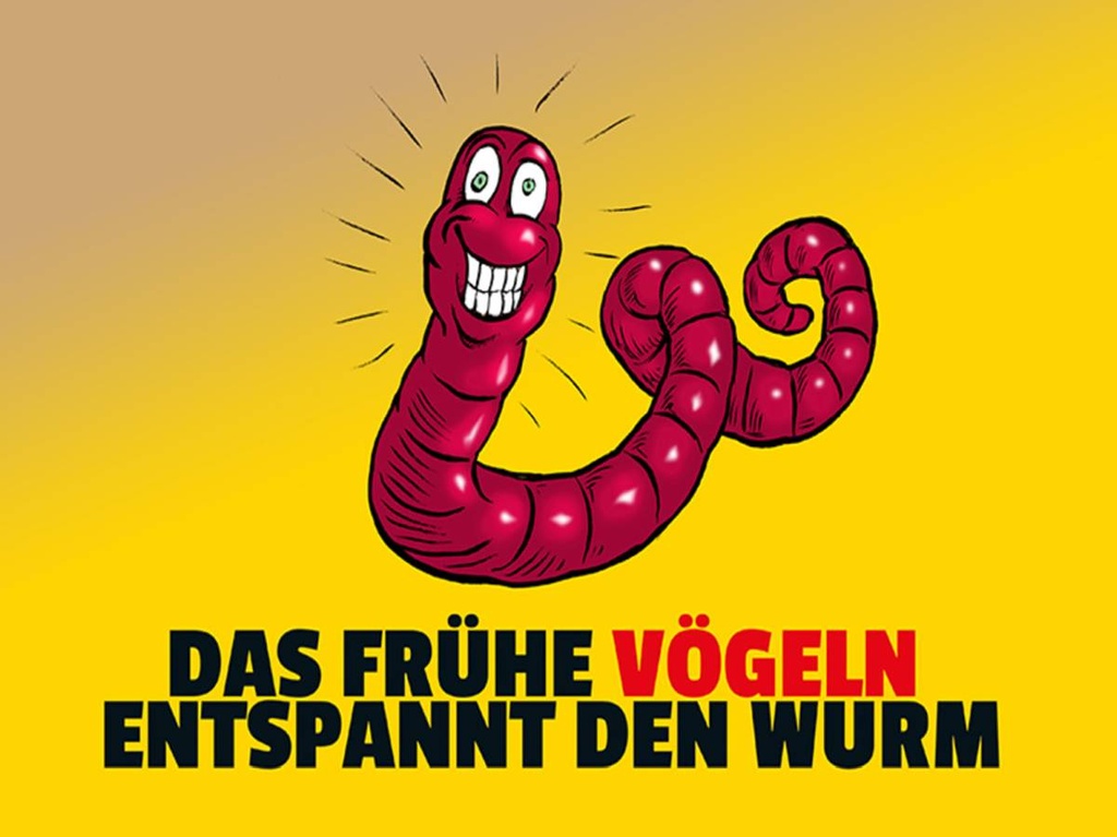 Holzschild 30x40 cm Das frühe vögeln entspannt den Wurm