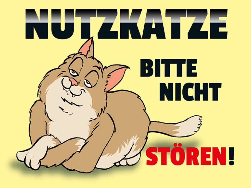 Holzschild 30x40 cm Nutzkatze bitte nicht stören