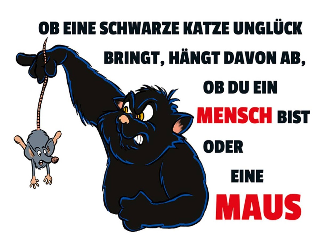Holzschild 30x40 cm Ob schwarze Katze Unglück bringt