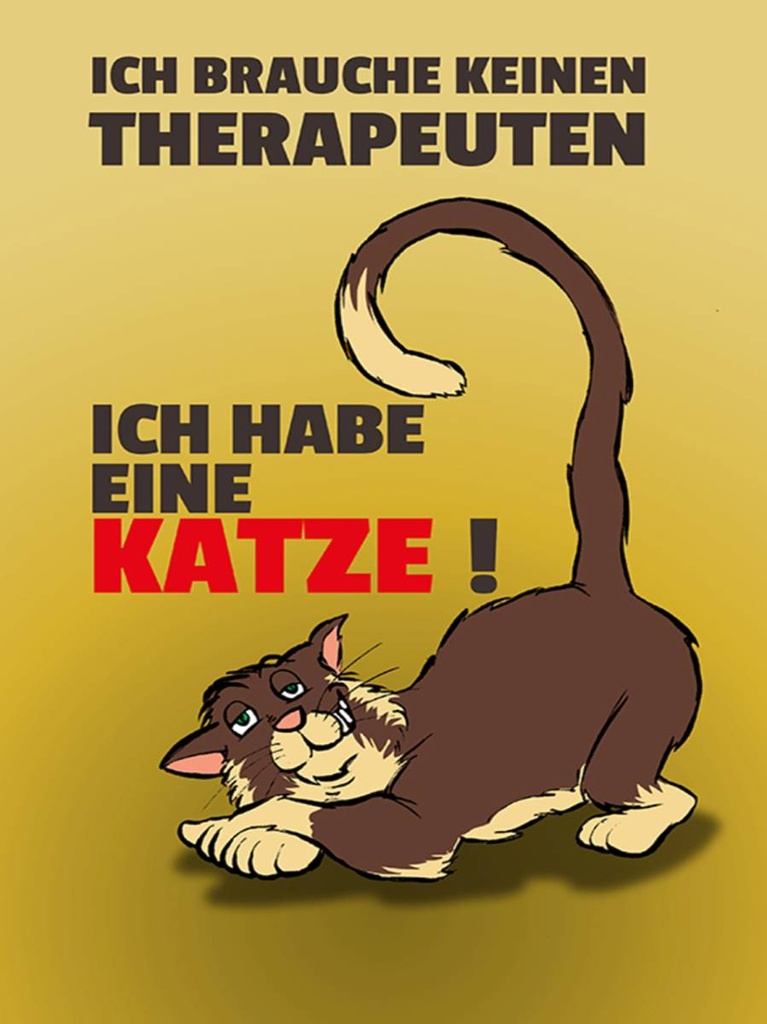 Holzschild 40x30 cm brauche keinen Therapeuten habe Katze