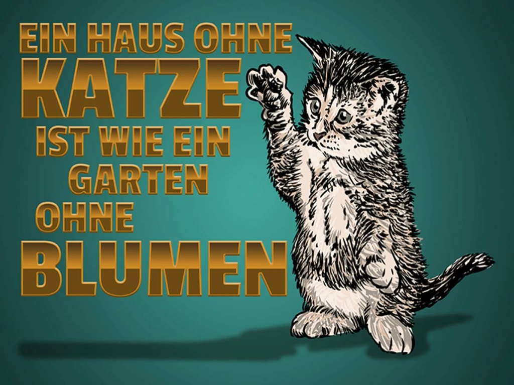 Holzschild 30x40 cm Haus ohne Katze Garten ohne Blumen