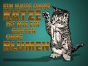 Holzschild 30x40 cm Haus ohne Katze Garten ohne Blumen