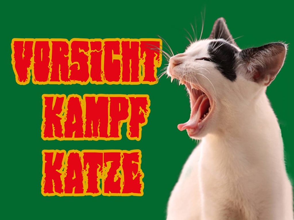 Holzschild 30x40 cm Vorsicht Kampfkatze grün