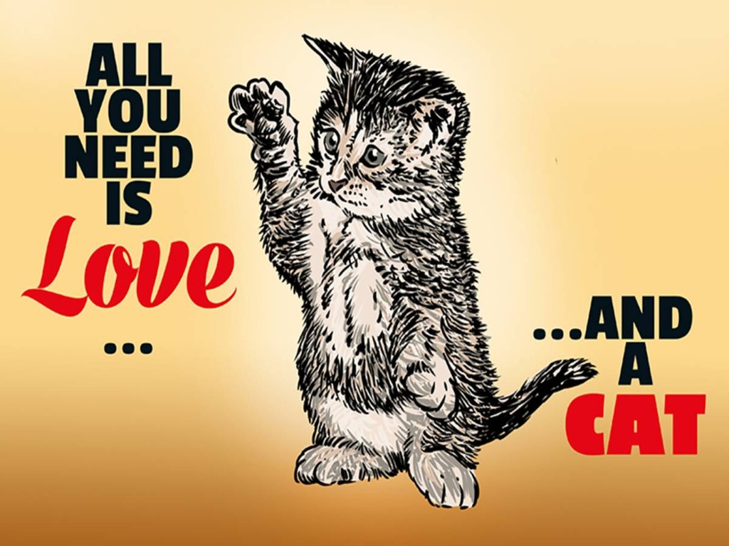 Holzschild 30x40 cm All you need is love and a cat