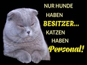 Holzschild 30x40 cm Hund hat Besitzer Katze Personal