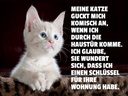 Holzschild 30x40 cm Katze guckt mich komisch an