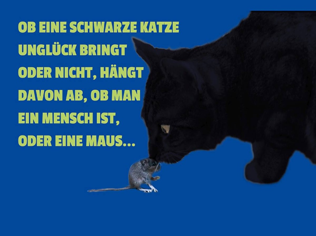 Holzschild 30x40 cm Mensch oder Maus (Katze)