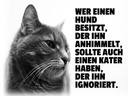 Holzschild 30x40 cm Hund himmelt an Kater ignoriert