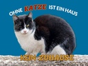 Holzschild 30x40 cm Ohne Katze kein Zuhause