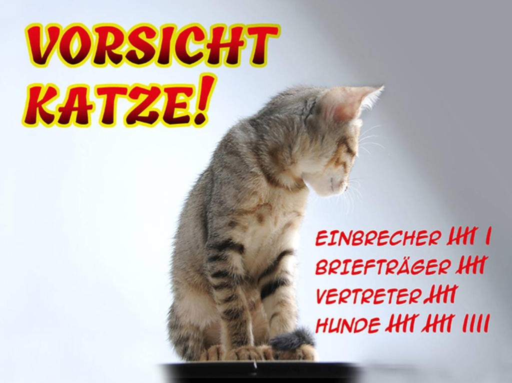 Holzschild 30x40 cm Vorsicht Katze Strichliste