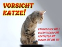 Holzschild 30x40 cm Vorsicht Katze Strichliste