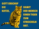 Holzschild 30x40 cm Katze Tiger zum streicheln