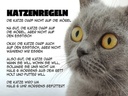 Holzschild 30x40 cm Katzenregeln Katze darf nicht