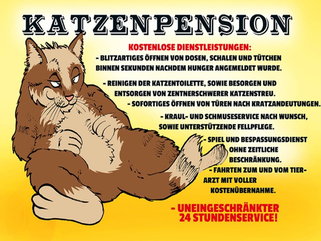 Holzschild 30x40 cm Katzenpension 24h Service