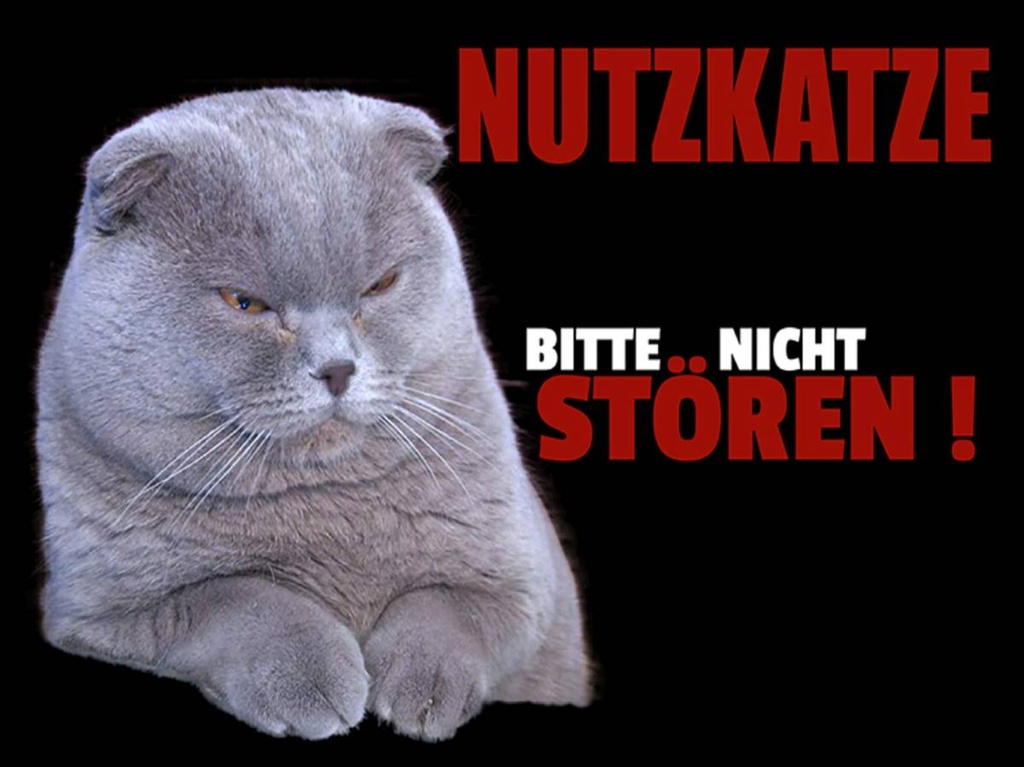 Holzschild 30x40 cm Nutzkatze bitte nicht stören schwarz
