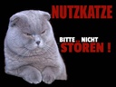 Holzschild 30x40 cm Nutzkatze bitte nicht stören schwarz