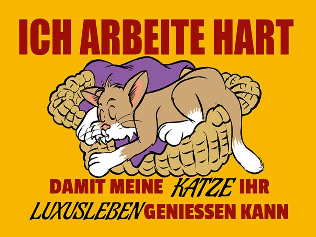 Holzschild 30x40 cm Arbeite damit Katze Luxusleben hat