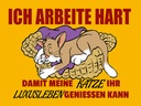 Holzschild 30x40 cm Arbeite damit Katze Luxusleben hat