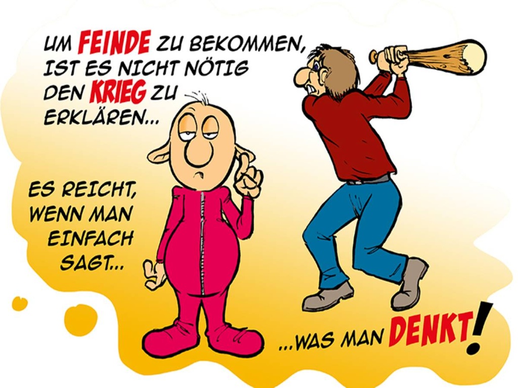 Holzschild 30x40 cm Feinde einfach sagt was man denkt