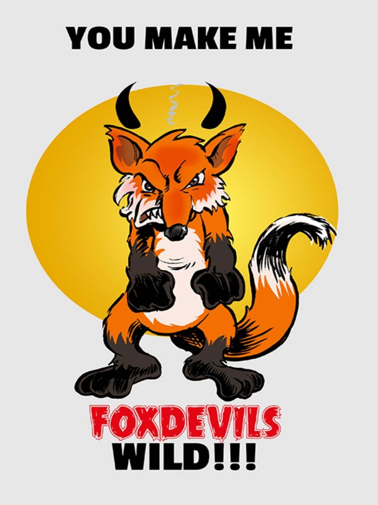 Holzschild 40x30 cm You make me foxdevils wild Fuchs