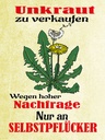 Holzschild 40x30 cm Unkraut verkaufen Selbstpflücker