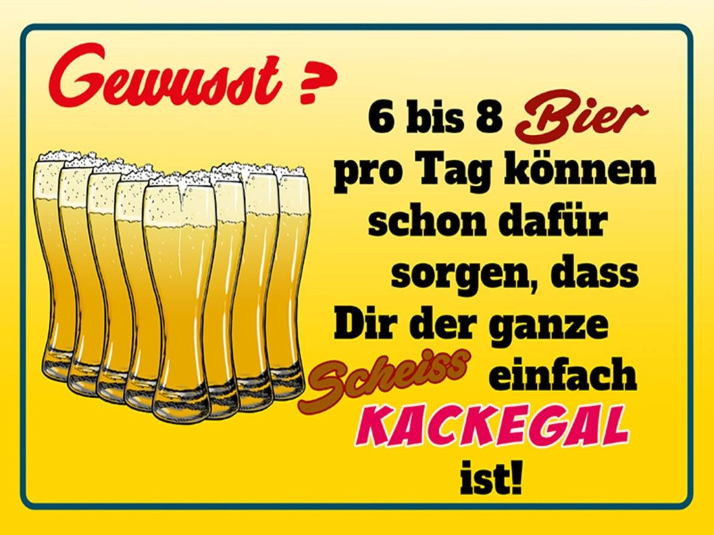 Holzschild 30x40 cm 6-8 Bier ganzer Scheiß egal